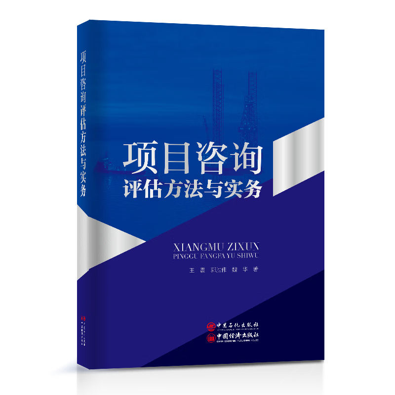 项目咨询评估方法与实务 王震，郭胜伟，魏华 著 中国石化出版社