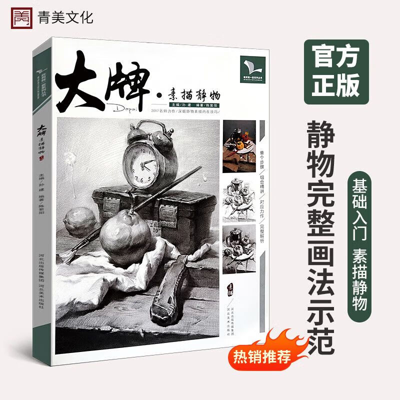 素描静物素描静物组合临摹书范本美术基础技法结构到位绘画册照片风暴