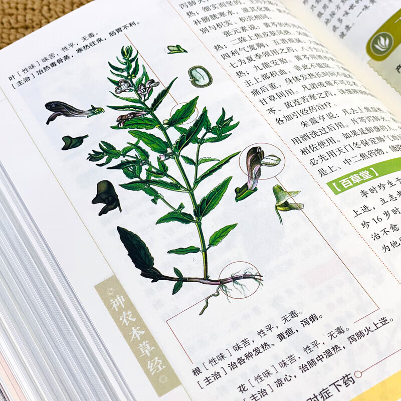 中草药图书大全（中草药书图片大全3000种） 中草药图书大全（中草药书图片大全3000种）《中草药图谱书籍》 中国图书
