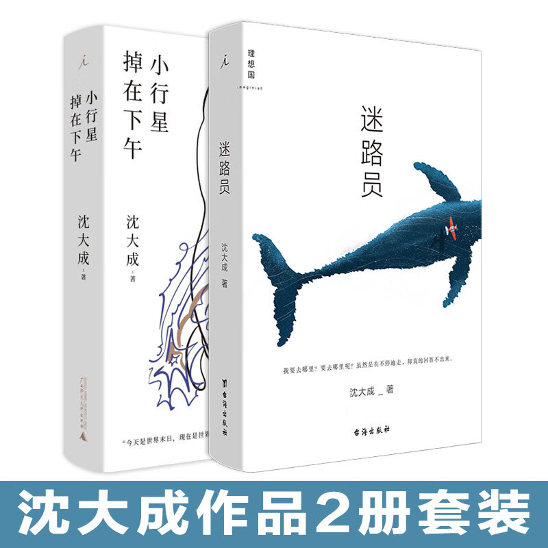 迷路员+小行星掉在下午 沈大成2册套装 