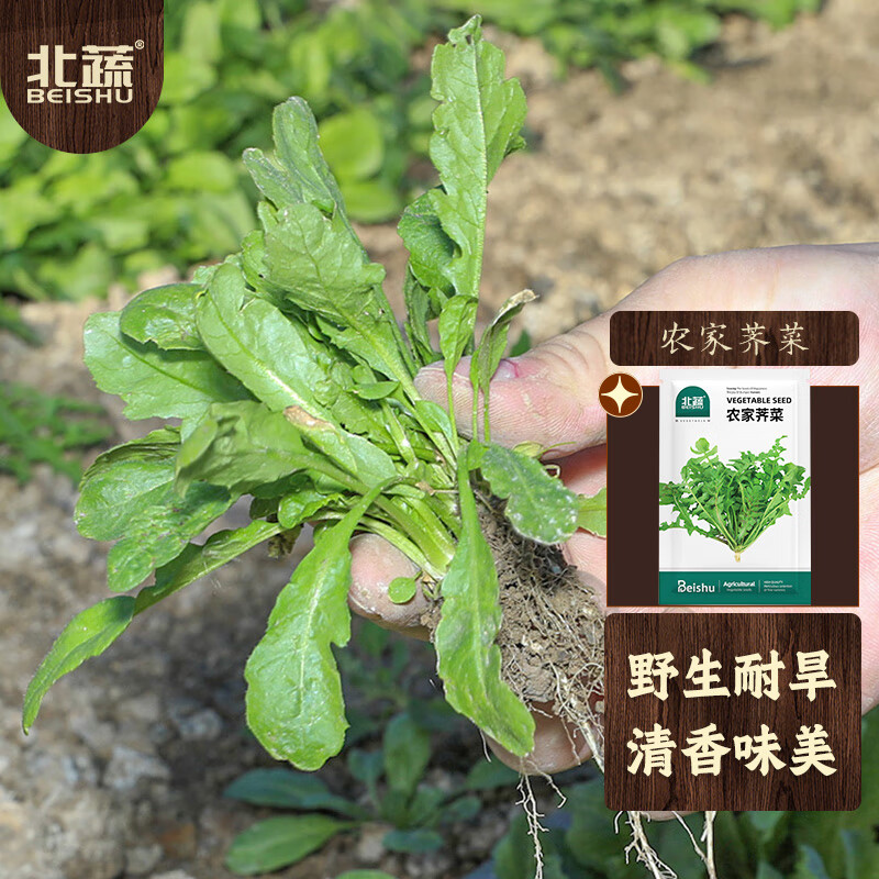 蔬菜类历史价格查询软件|蔬菜类价格走势图