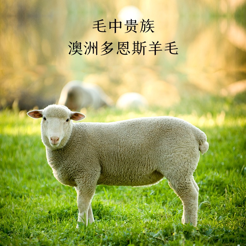 京东（JINGDONG）羊毛-驼毛被京东京造云柔澳洲丝光羊毛被冰箱评测质量怎么样！评测结果不看后悔？