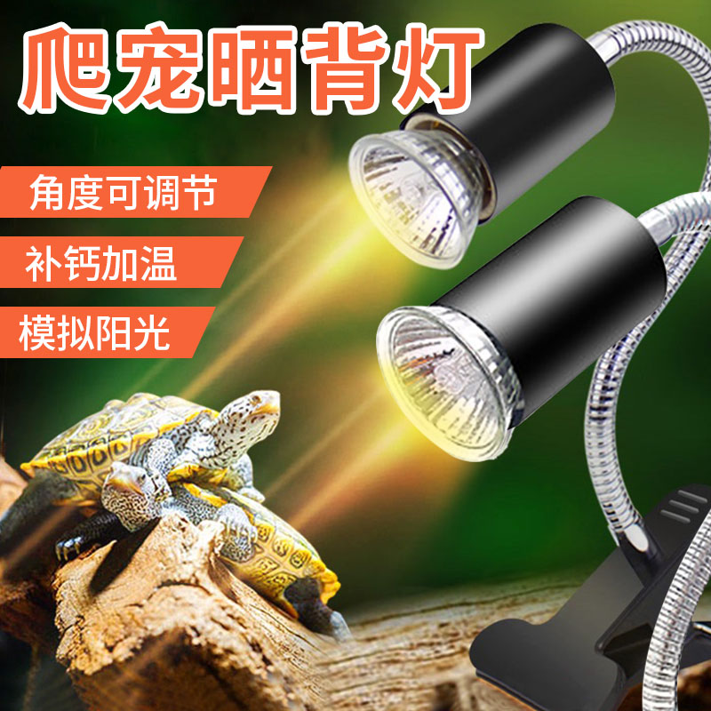 爬宠用品历史价格是多少|爬宠用品价格比较