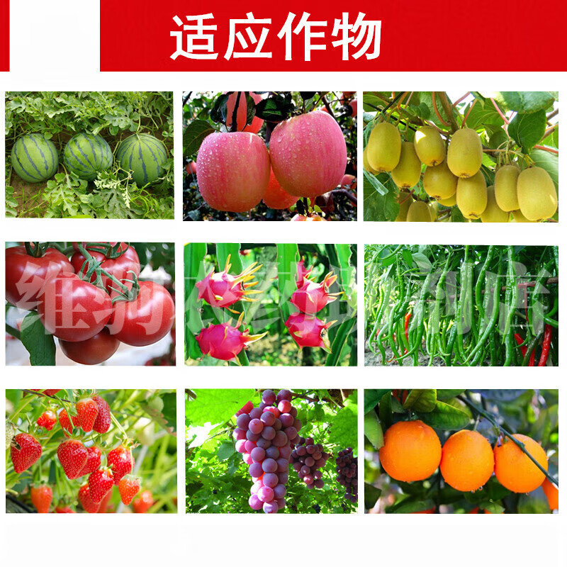 糖醇钙镁硼锌铁叶面肥中微量元素肥钙镁硼肥锌肥铁肥黄叶补钙 钙镁硼锌铁1kg/瓶