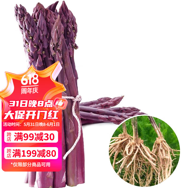 北蔬 四季芦笋种子根苗秋冬季蔬菜 【两年】紫芦笋根 6棵