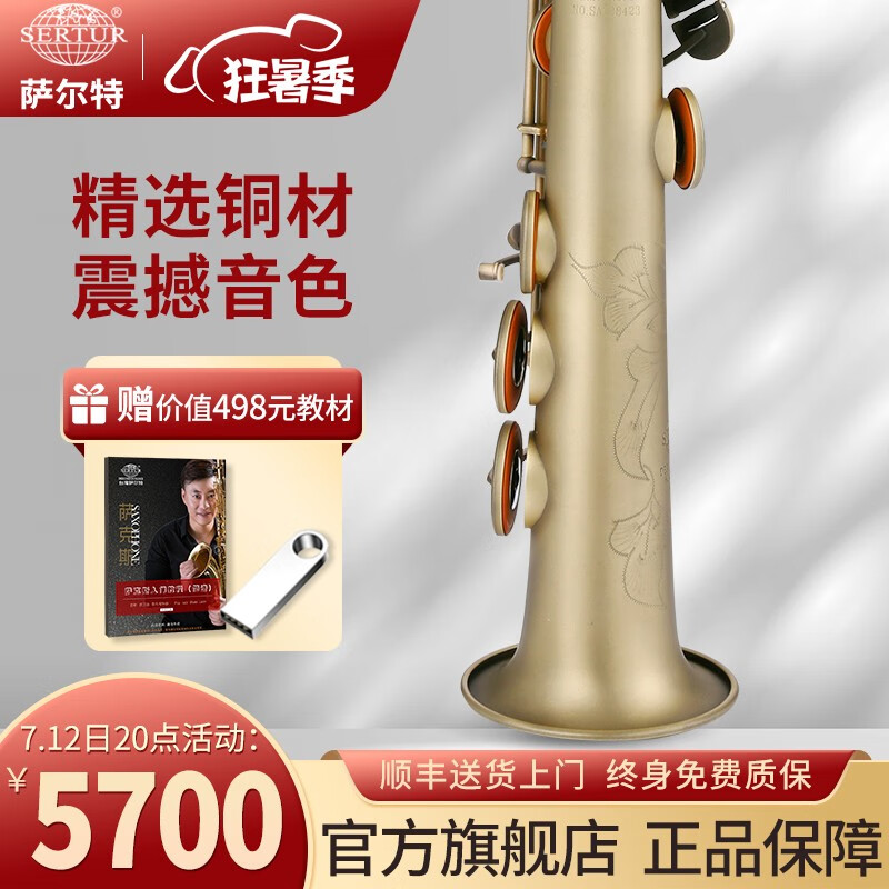 萨尔特萨克斯台湾萨尔特高音萨克斯乐器专业演奏直管SP-6600法国进口铜材考级仿古青铜色