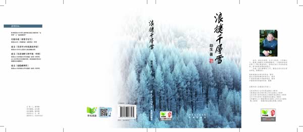 浪卷千层雪