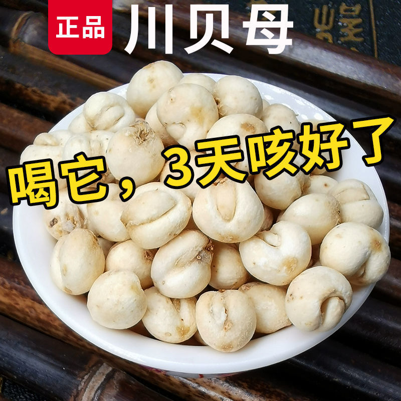 【无硫小川贝】50g川贝母磨粉 四川贝母小孩咳嗽 【无硫川贝50g】颗粒