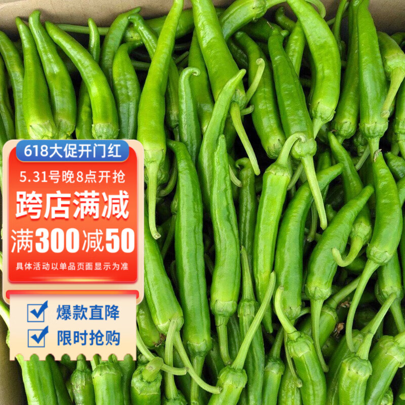 神禾湖南樟树港辣椒种子苗一年四季薄皮香辣微辣 樟树丨港辣椒种子 40