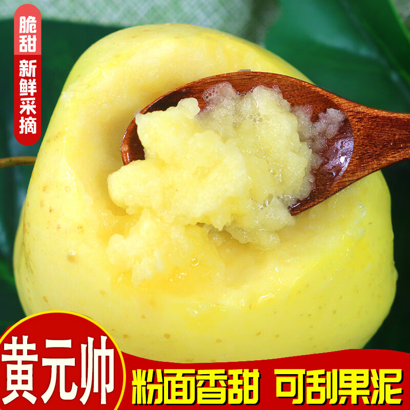 徐暖暖黄元帅苹果黄金帅粉面起沙金帅金冠新鲜当季水果整箱 4.5斤中果(70-75mm+) 京东折扣/优惠券