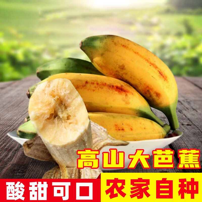 配倍鲜广东高山大芭蕉酸甜可口大香蕉当季新鲜水果芭蕉现摘现发 带箱