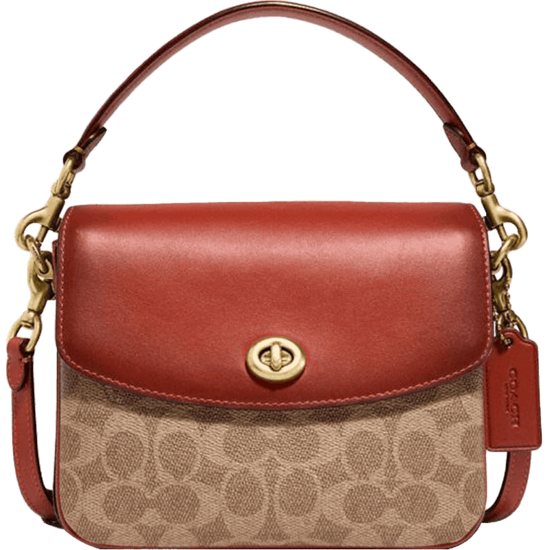 COACH ޢ�� �����־CASSIE19�ŵ���б�����������Ů�� �ػ�ɫ��ɫ �°�