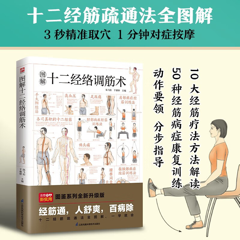 图解十二经络调筋术 一学就会50种经筋病症的康复训练 从头到脚 打通全身经筋血脉 外科妇科中医养生书籍健康