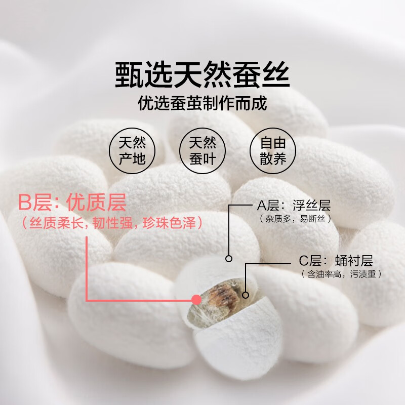 LOVO罗莱生活旗下品牌 100%天然蚕丝被被子被芯夏凉被空调被 【100%天然蚕丝夏被】佳人入梦 150*215cm