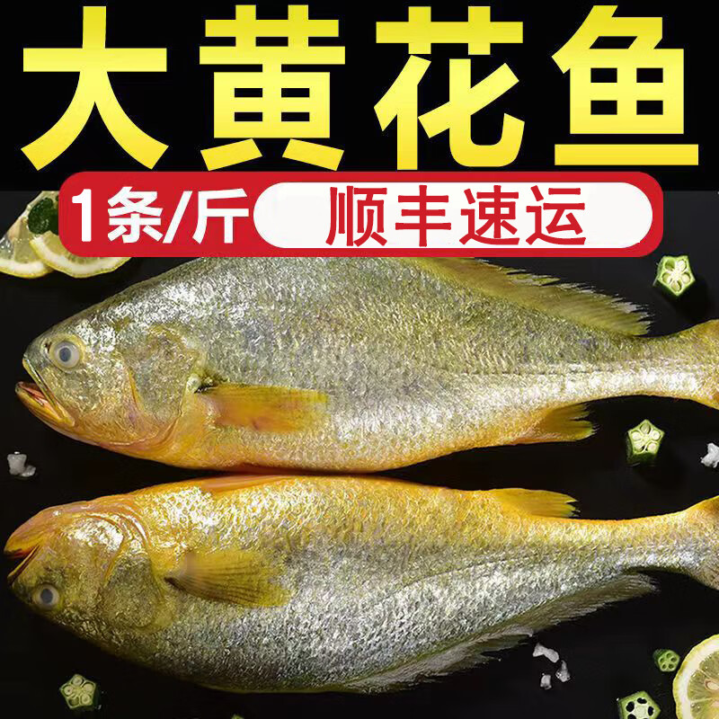 大黄花鱼新鲜海鲜水产海鱼冷冻大黄鱼生鲜鱼类批发 3斤装