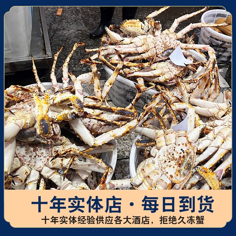 帝王蟹海鲜鲜活冻大10斤进口高端顺丰空运长脚蟹皇帝蟹帝皇蟹 8.5-9【活冻品质 新鲜足称】