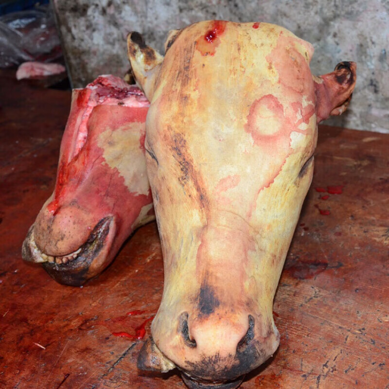 迎宾(yingbin)贵州带皮新鲜生牛头牛脸肉当天现宰杀半整头带骨牛头