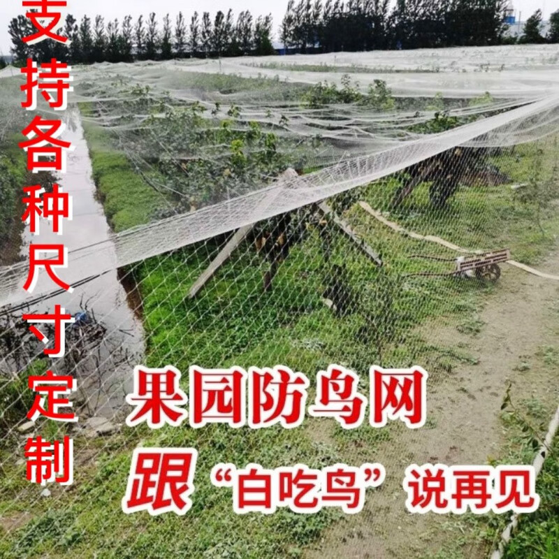 琛艺 小鸡网围栏护栏网养殖网养鸡场土鸡网养鸭网渔网抬网拦河网家禽 白色2厘米边长网孔 2米宽50米长