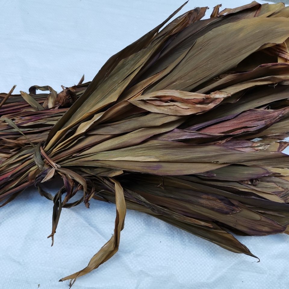 中药材红铁树叶朱蕉叶铁树叶铁连草红叶铁树中草药500克 广西玉林市