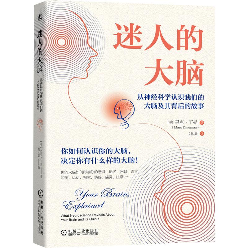 迷人的大脑：从神经科学认识我们的大脑及其背后的故事 图书