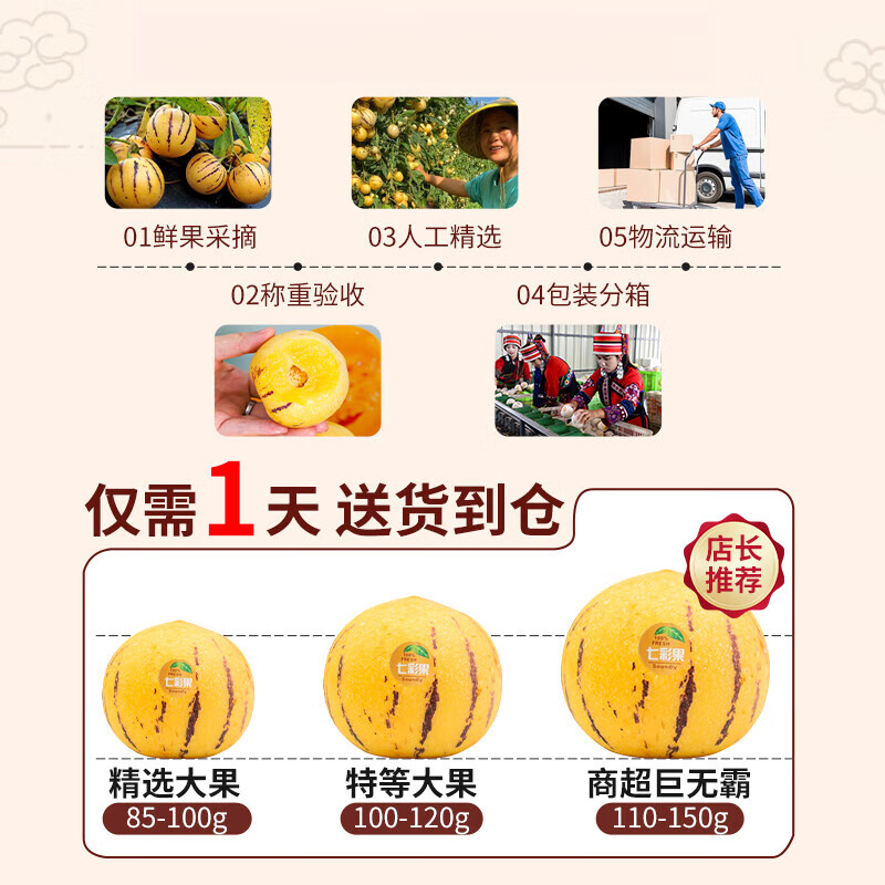 译蒙之味云南人参果礼盒装送礼佳品新鲜人参果黄果树上熟圆果特产 净重5斤果王【单果110g+】礼盒 精美礼盒