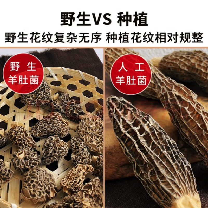 阿坝州高原野生干羊肚菌 纯天然原生态野生菌 产地直销 假一陪十 野生