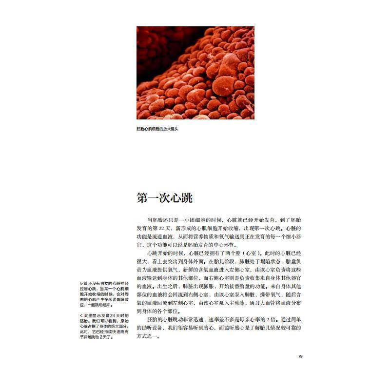 孕育:镜头下的40周伦纳特·尼尔森科学普及出版社9787110104972 育儿书籍