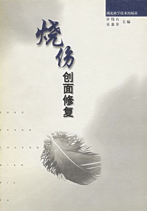 烧伤创面修复