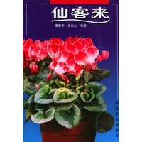 仙客来【正版图书】