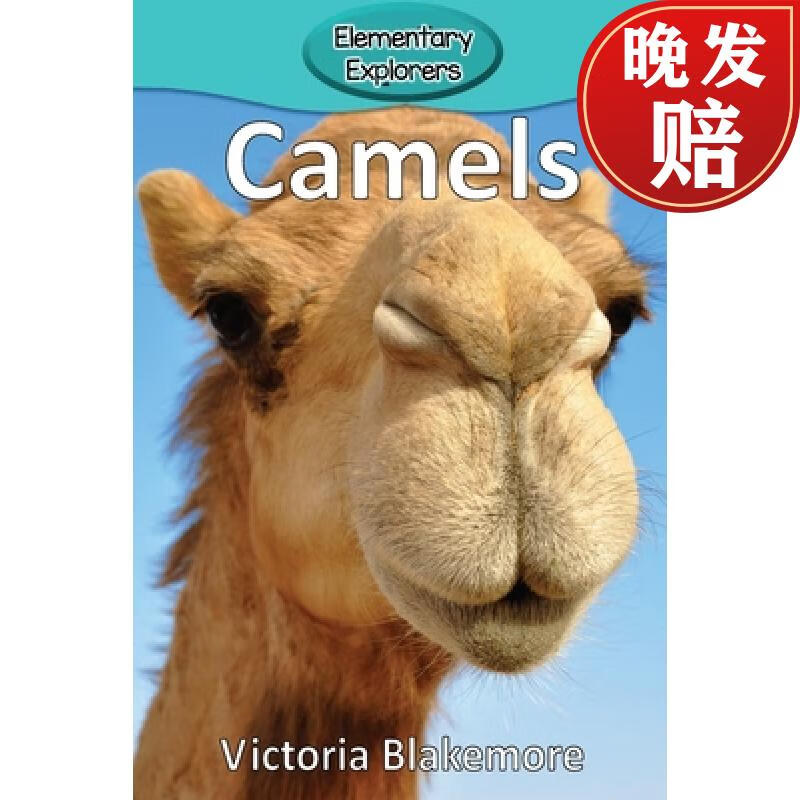 【4周达】camels