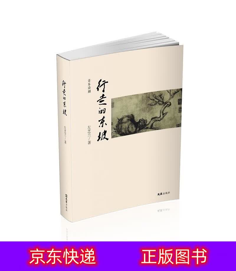 琨艺图书 只售正版 】行走的东坡国学大师类书籍 行走的东坡