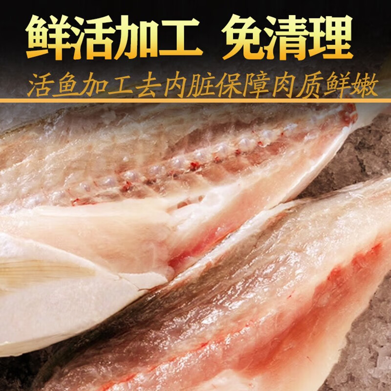 桂之海 桂(GUIZHIHAI)北海巴浪鱼鲜活冷冻海杂鱼新鲜海捕去鳞去鳃去内脏池鱼深海鱼海鲜 5包大号【4-5条/包】净重4斤
