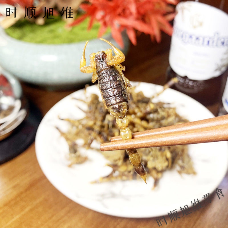 千畅安食用昆虫沂蒙山区油炸全蝎即食东亚钳蝎美味小特色小吃十足蝎