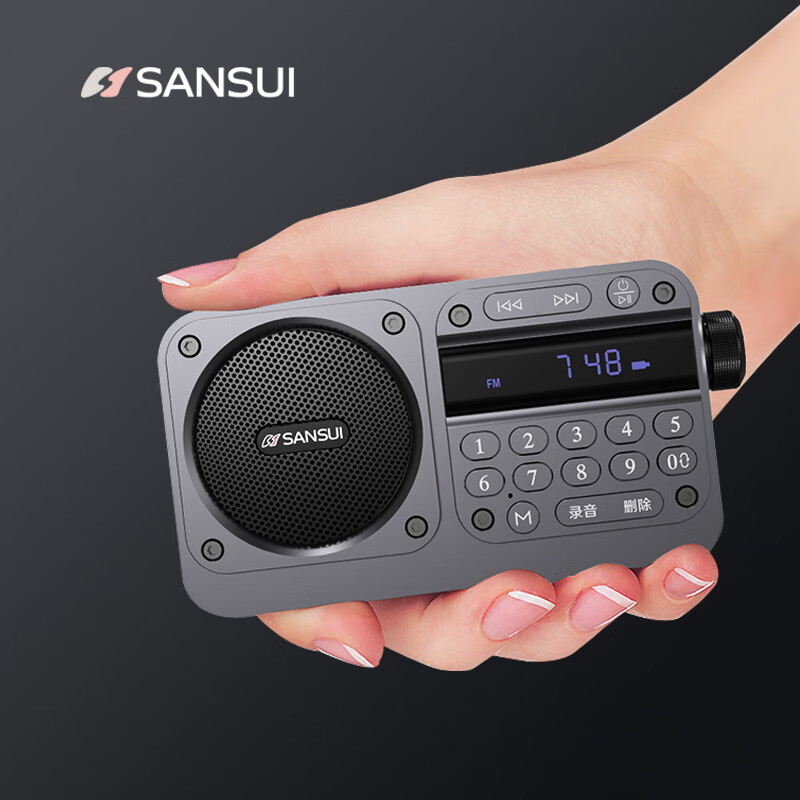 山水（SANSUI） 收音机老人便携式可充电插卡音箱户外迷你小音响无线蓝牙音箱随身听音乐播放器广播唱戏机评书机 M31星舰灰【高配版+2.0声道】