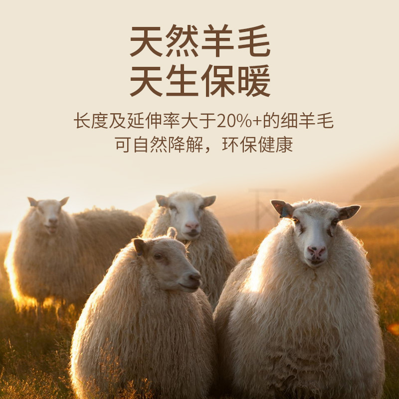 恒源祥男士保暖内衣套装羊毛德绒秋衣秋裤套装冬季加绒加厚内穿打底套装 【羊毛德绒】深灰 L (170/95)
