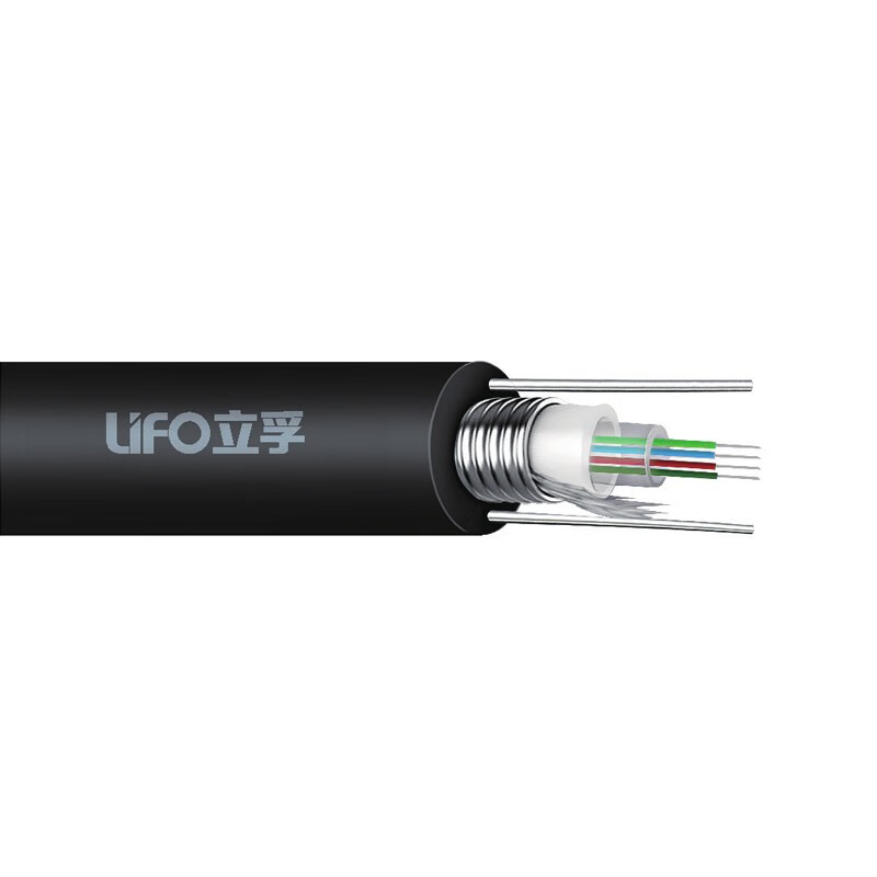 立孚 12芯单模室外lf