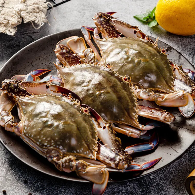 查询蟹类价格最低|蟹类价格比较