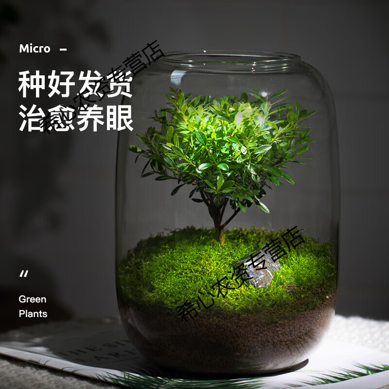 OIMG΢������̬ƿ����֮��СҶ�����̬ƿ̦޺����΢������������ ����֮����Ʒ���� �����Ժ�