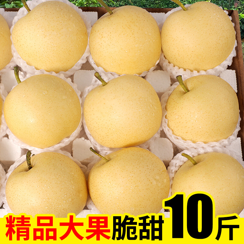 梨子新鲜现摘皇冠梨安徽砀山酥脆梨当季水果雪梨整箱5 5斤大果