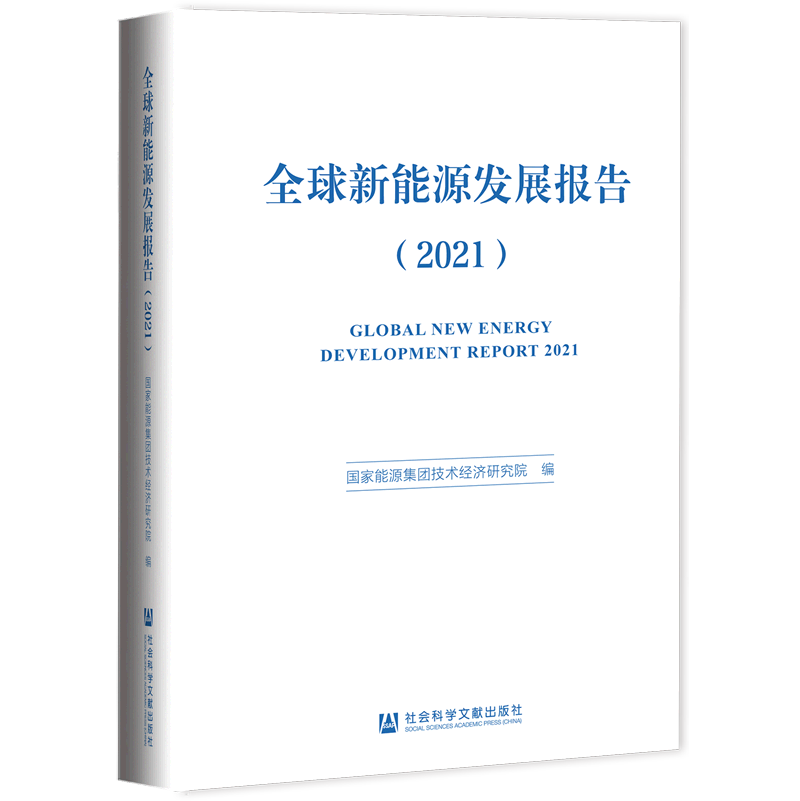 全球新能源发展报告(2021)