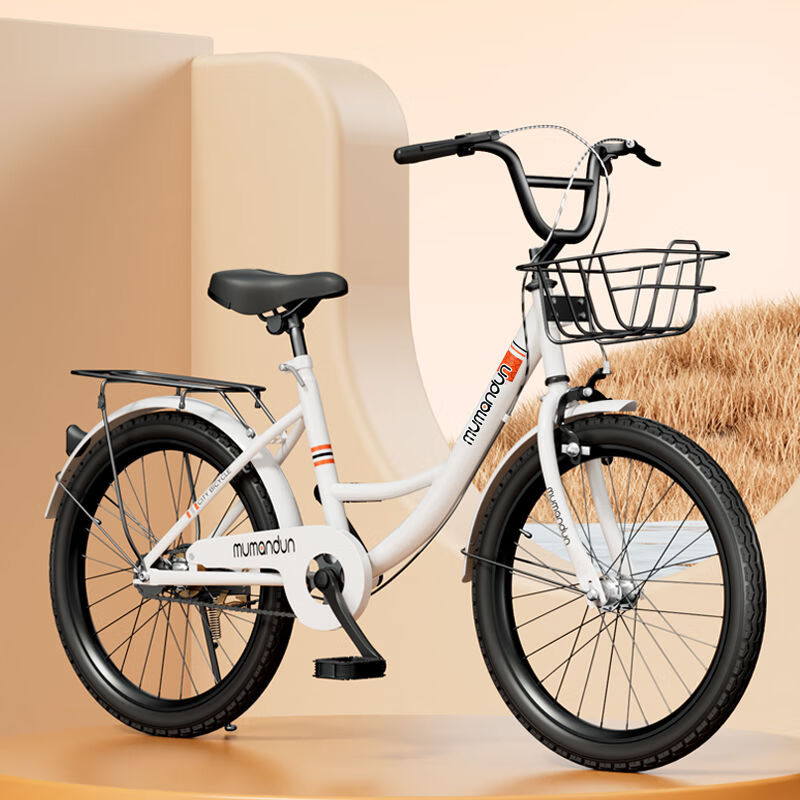 诺蒂尔共享单车同款成人实心新款公主自行车24寸轻便男女大学生胎免