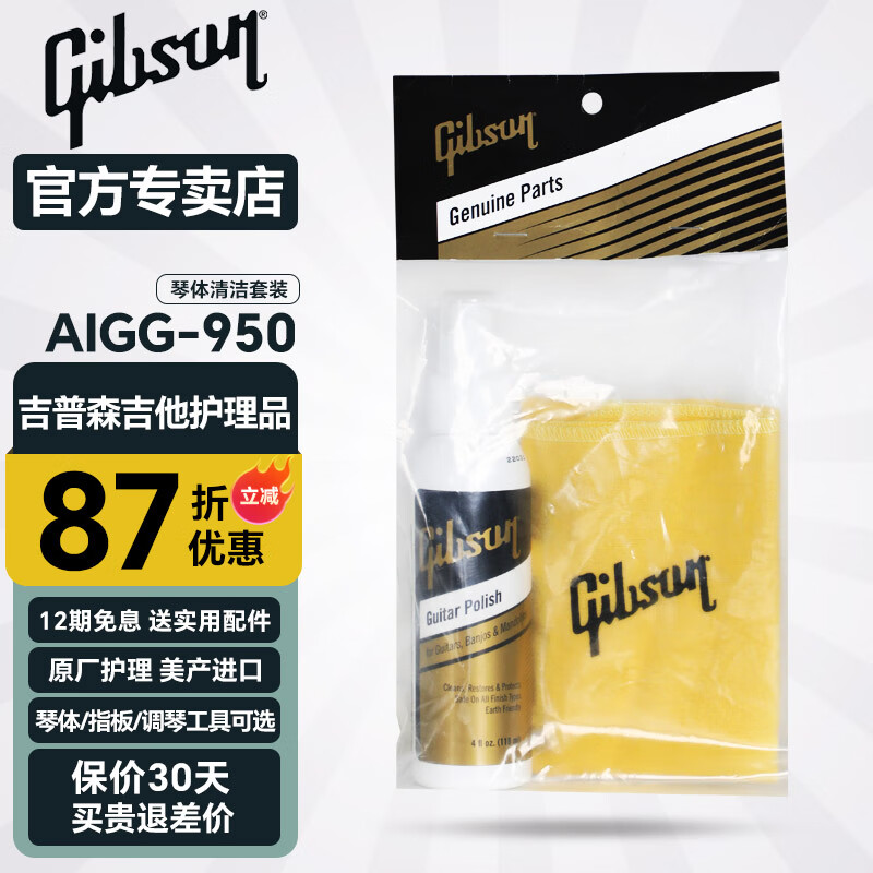 Gibson吉普森美国进口原厂吉他保养护理套装清洁剂护弦油品丝抛光擦琴布 AIGG-950