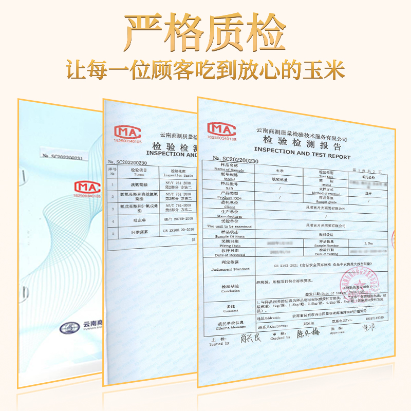 中鲜生云南水果玉米 新鲜甜玉米 现摘玉米棒 生鲜蔬菜可生吃火锅食材 9斤 水果玉米【净重】约9-16根