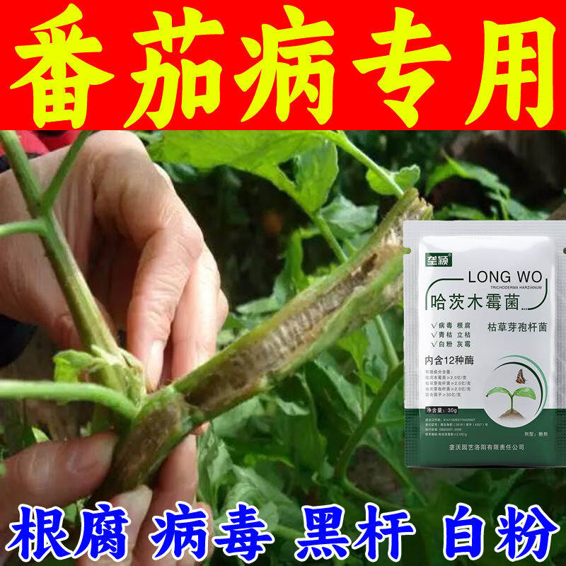 垄颖番茄病毒病专用西红柿番茄卷叶枯萎烂根早晚疫病菌清多菌灵叶面肥