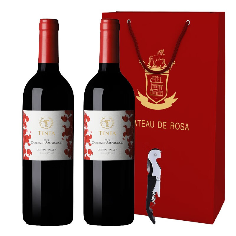 天帕（TENTA）智利中央山谷原瓶进口红酒 天帕赤霞珠干红葡萄酒红酒13.5度750ml 2支装 13.5度