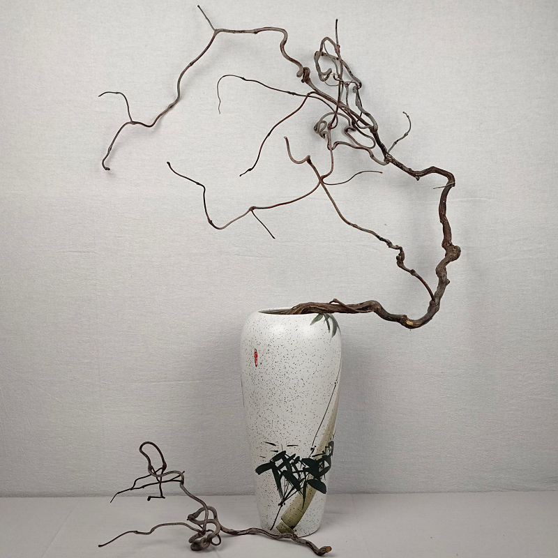 枯树枝装饰 天然造型树枝弯曲景观花艺干支居家装饰枯树枝假树枝龙