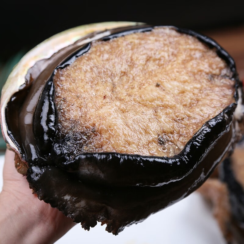 崇鲜大鲍鱼 澳鲍澳洲鲍鱼 冷冻 烧烤食材送礼酒店私房菜健康轻食 300g