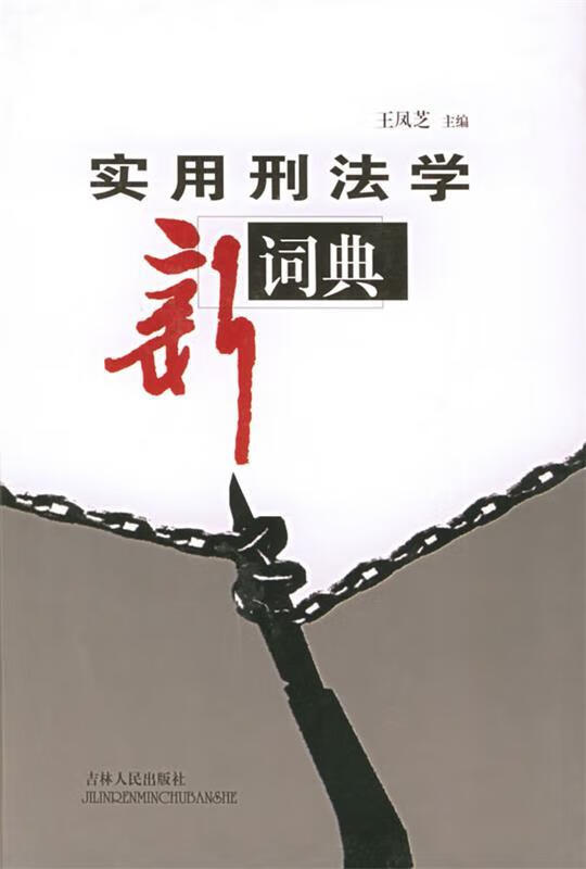 实用刑法学新词典