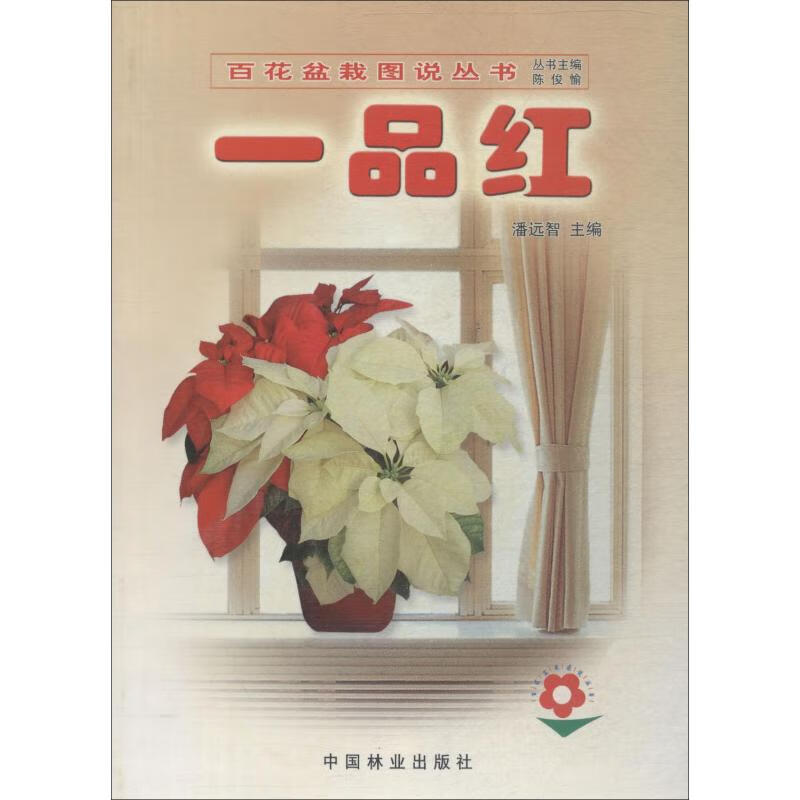 一品红
