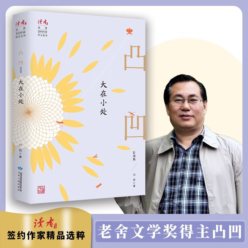 大在小处：凸凹自选集 领读文化出品
